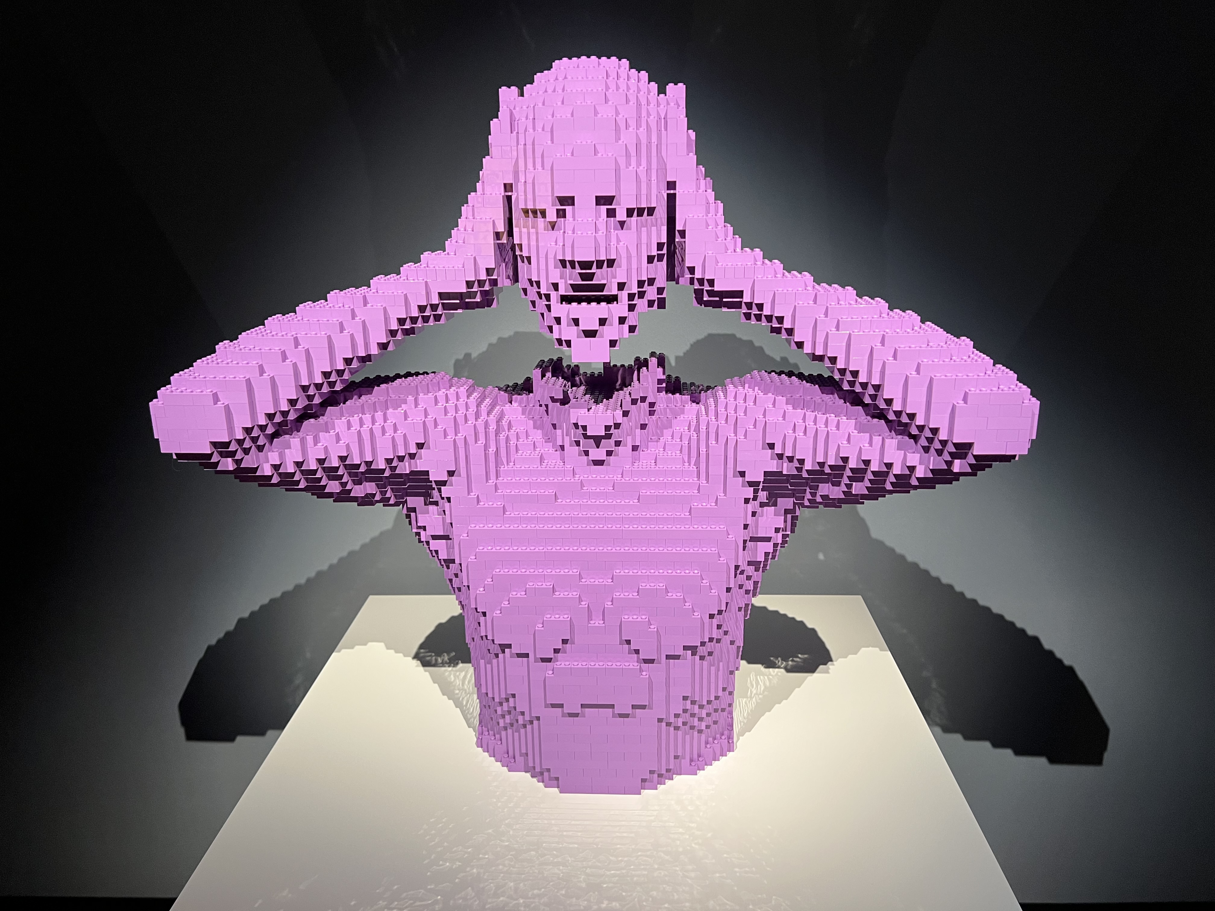 ./2023/07 - Art of the Brick/IMG_9539.JPG